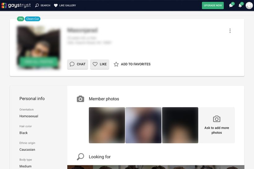 gaystryst profile